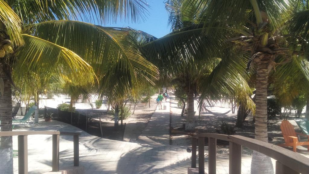 Hotel & Villas Playa Maya Resorts Celestun Exteriör bild